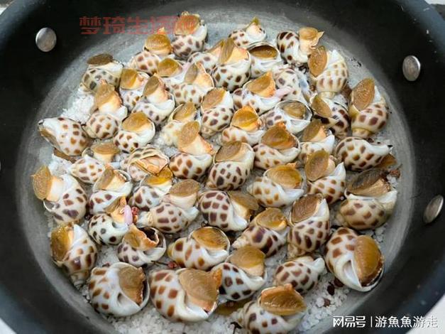 花螺怎么煮？掌握好时间，鲜嫩又美味！
