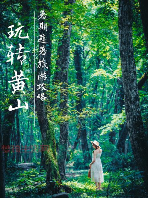 想玩转上古神器2完美版？这份攻略让你少走弯路！