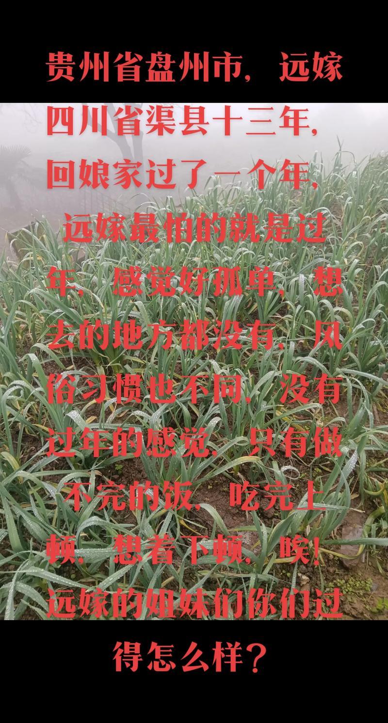 绿坝娘是什么意思？看完这篇你就懂了！