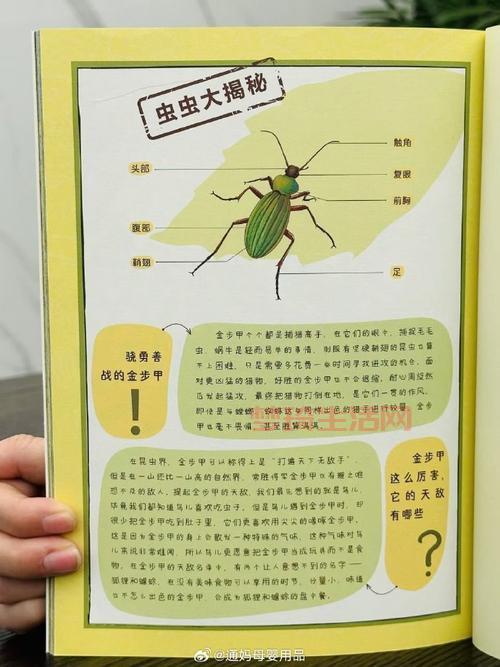 昆虫学家都在哪工作？带你了解真实的工作环境！