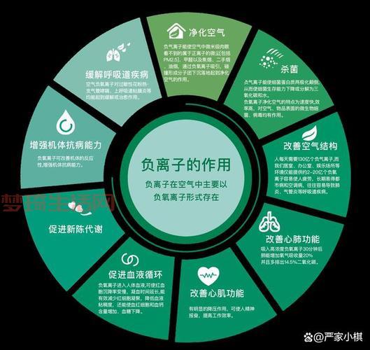 都说负离子好，负离子到底是什么？
