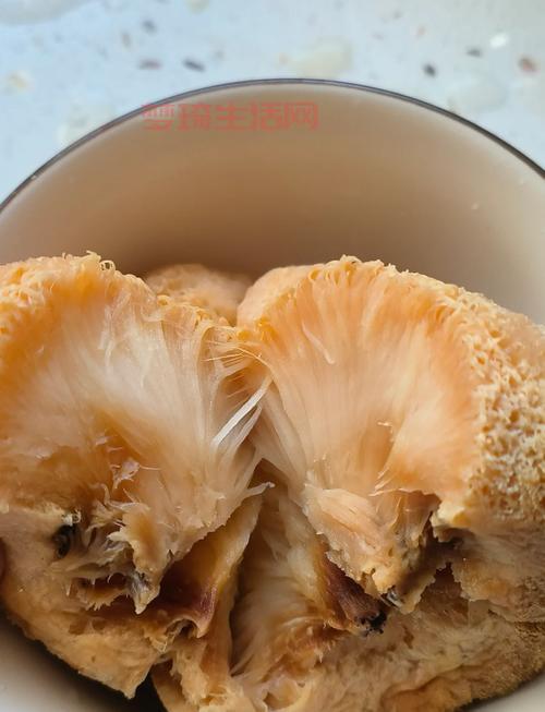 猴头菇怎么吃才不发苦？掌握这个小技巧味道鲜美！