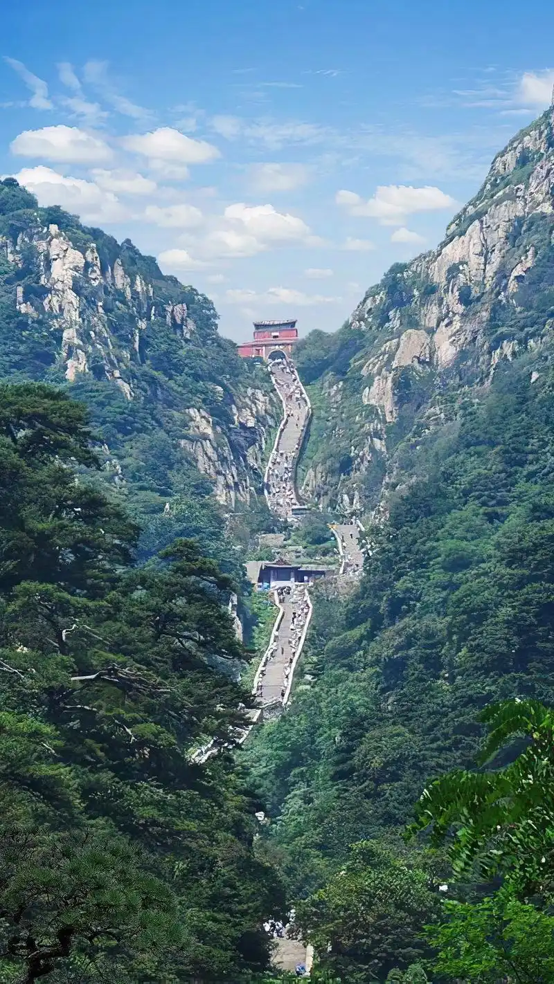 见证国之盛典，凝聚矢志复兴的强大力量，岱岳区社会各界收看纪念抗战胜利80周年大会