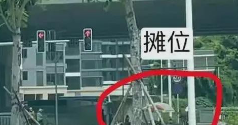 拴绳子！网红犬“被偷48小时”做成熟食：偷狗贼获利230元！