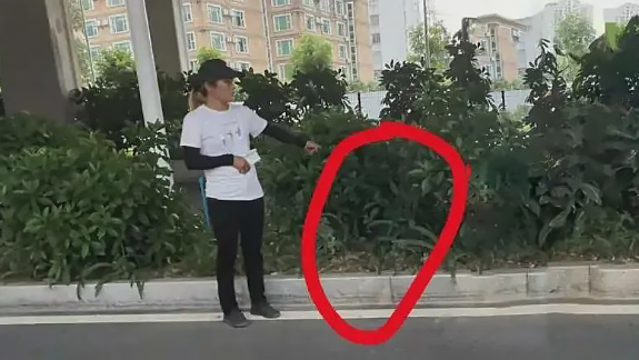 拴绳子！网红犬“被偷48小时”做成熟食：偷狗贼获利230元！