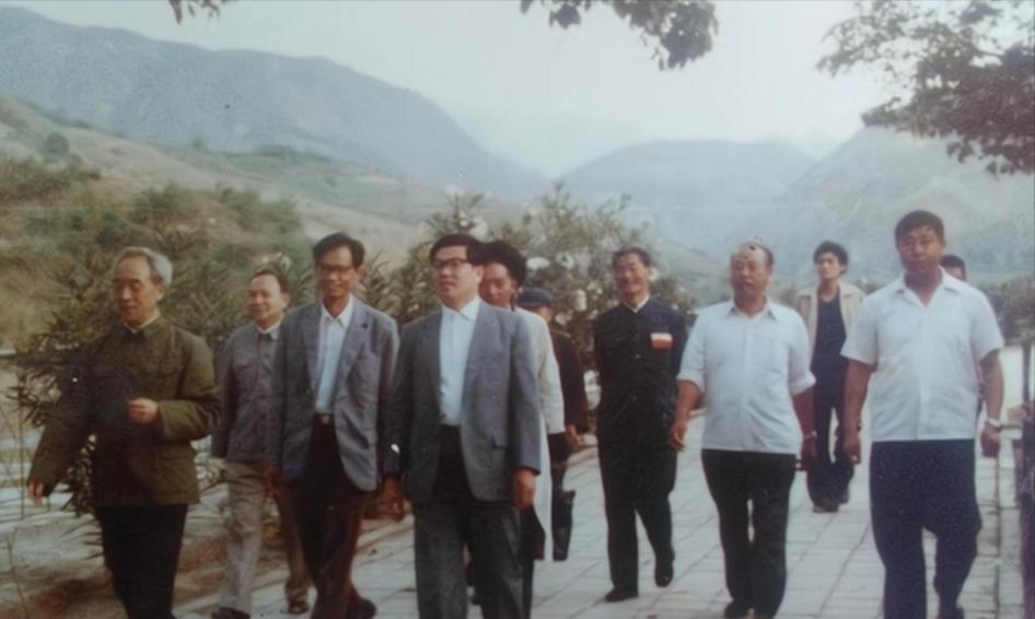 高严 贪污案件 电力系统腐败_高严情妇杨珊生活照
