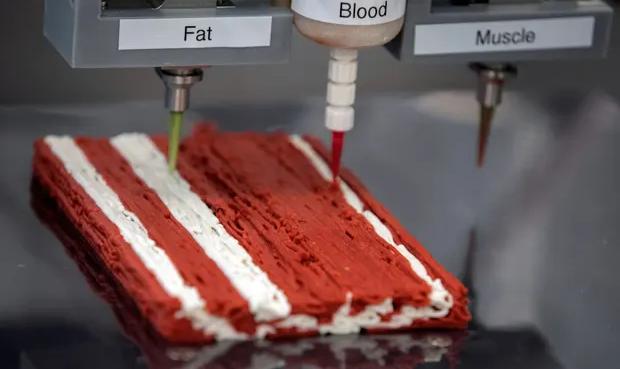 个性化定制营养餐_3d打印笔结构_3D食品打印技术