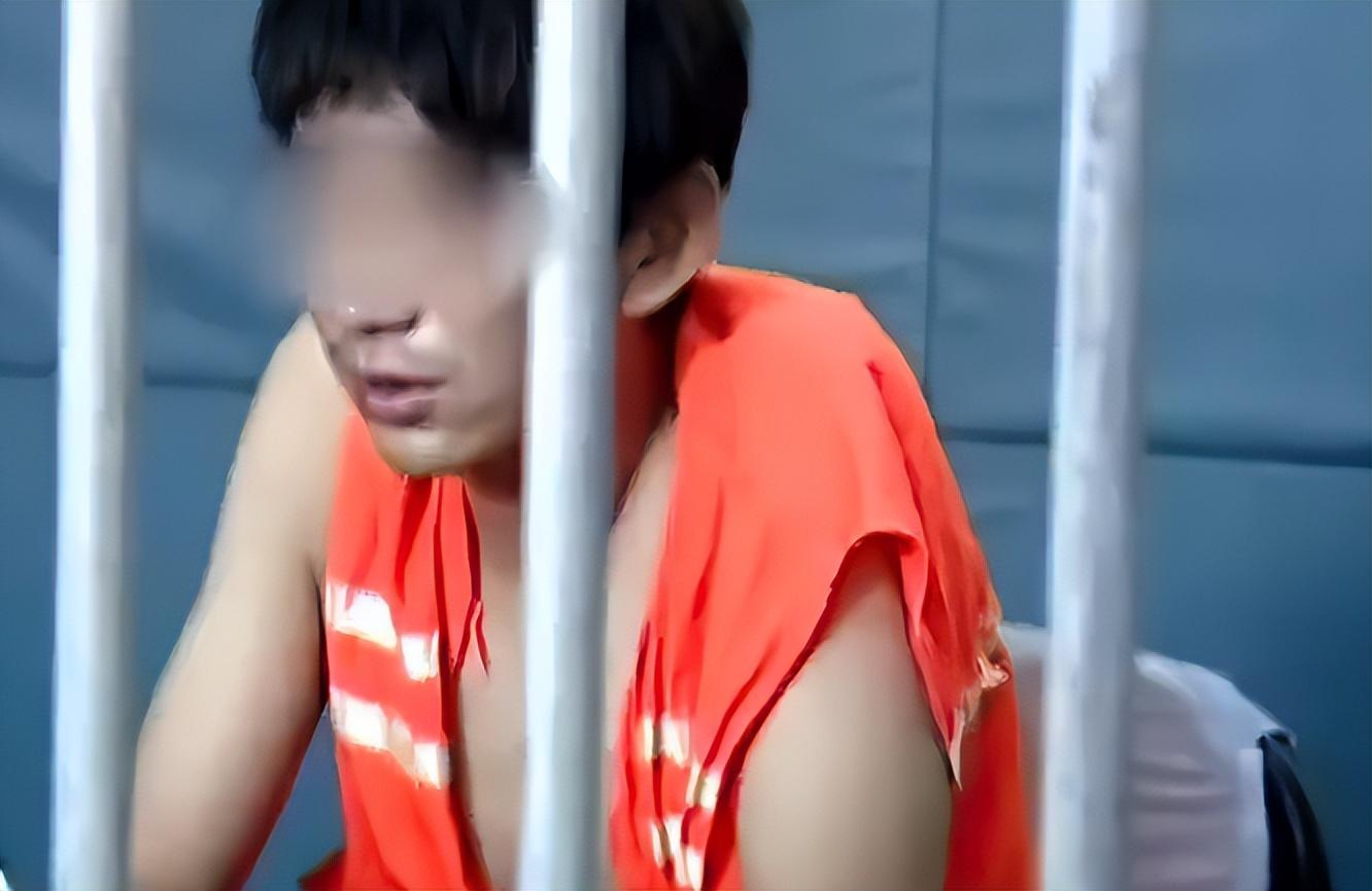 德州杜传旺 故意伤害案 无心之举致伤_杜传旺视频