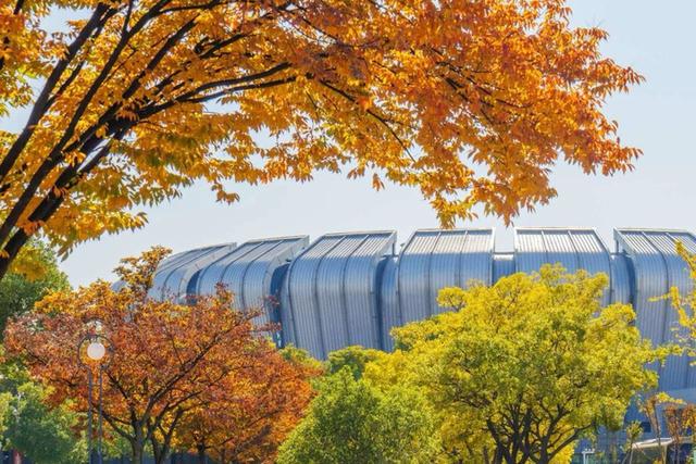 高校校园游攻略_南京大学开放校园_南京大学校园网找不到服务器
