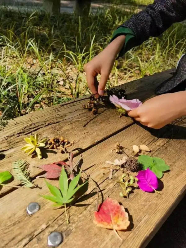 捡秋就像开盲盒，每件都是好运气！提醒：别真把岳麓山薅秃了
