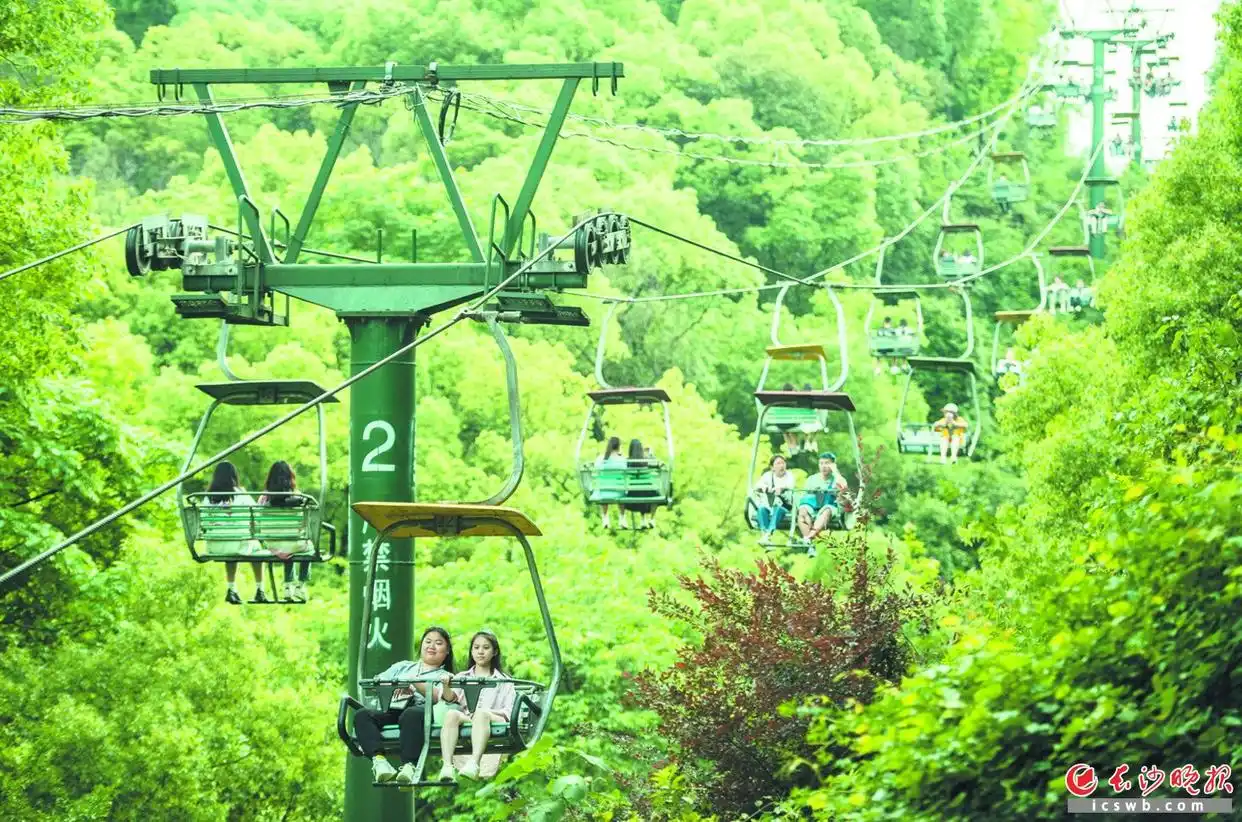 再见！我们坐过的岳麓山“敞篷”索道