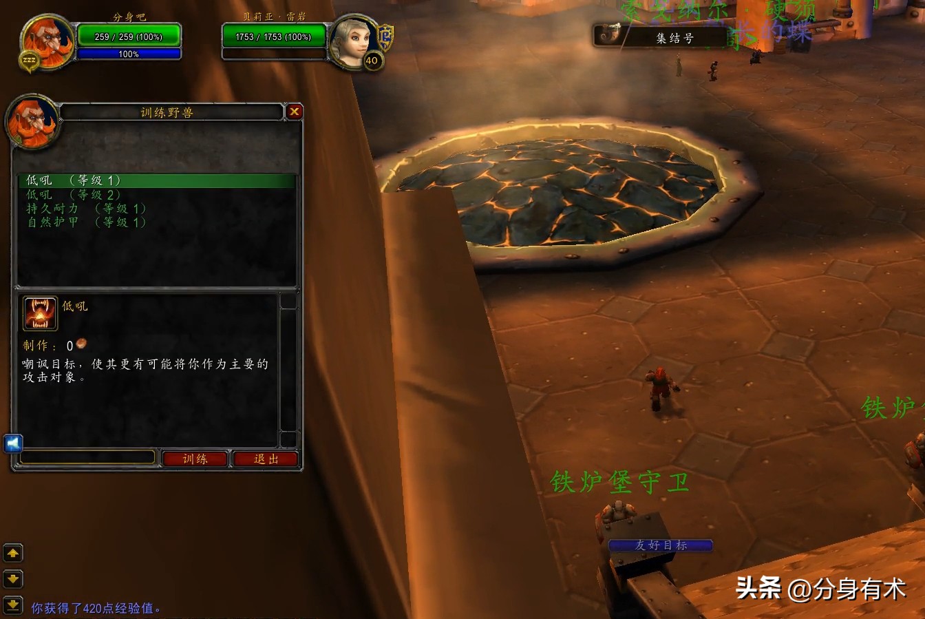 撕咬技能学习地点_魔兽世界 猎人 职业任务_魔兽世界硬核服猎人宝宝选择