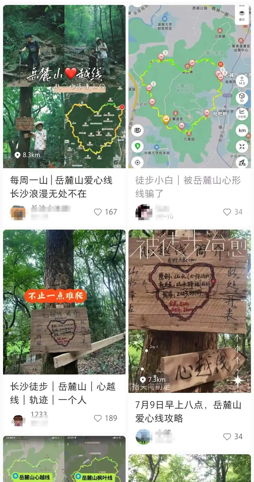 岳麓山心越线打卡_岳麓山又被游客踩矮了_岳麓山捡板栗捡柿子捡菌子