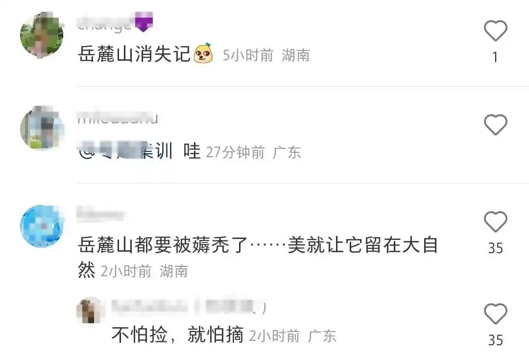 岳麓山又被游客踩矮了_岳麓山捡板栗捡柿子捡菌子_岳麓山心越线打卡