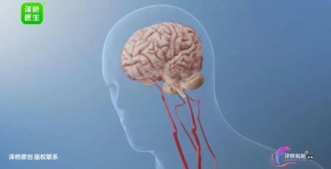 这个步数才是性价比之王，4个姿势要点护关节不粗腿