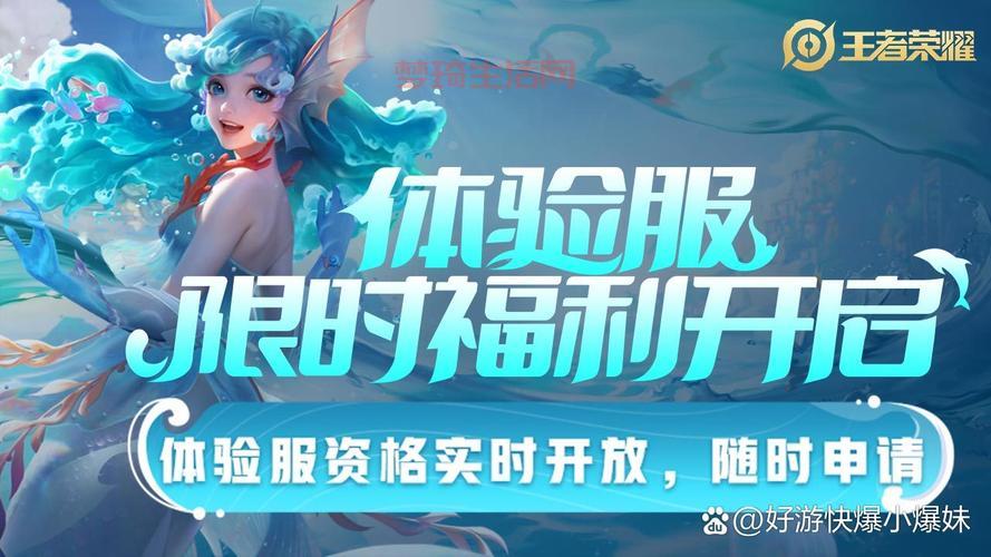 王者荣耀体验服官方网打不开？试试这几个解决方法很管用！