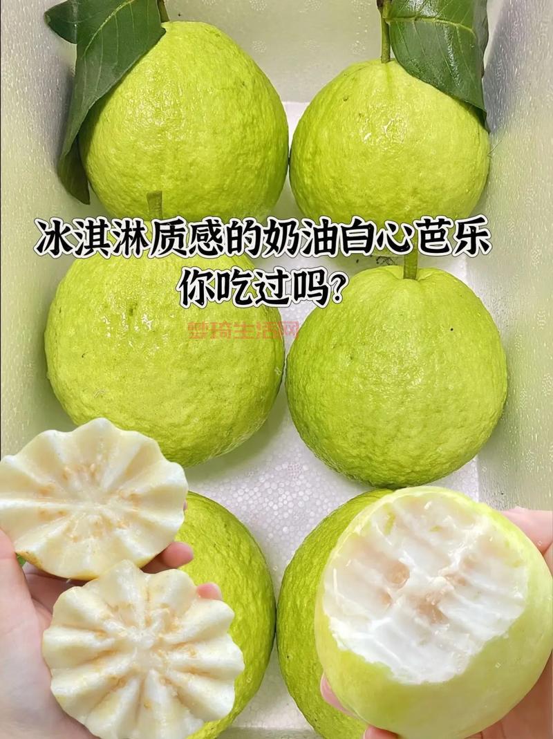 搞不懂芭乐是什么？其实就是番石榴快来了解下。