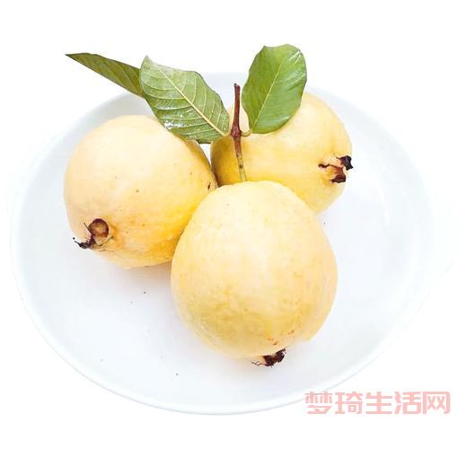 搞不懂芭乐是什么？其实就是番石榴快来了解下。
