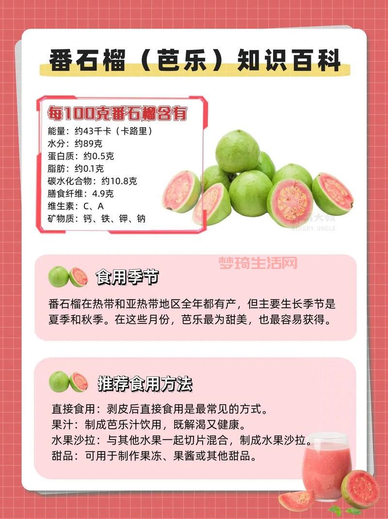 搞不懂芭乐是什么？其实就是番石榴快来了解下。