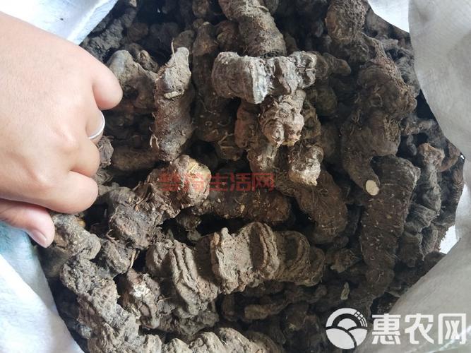 云中重楼价格多少钱一斤？在哪里可以购买到正品？