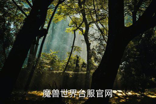 魔兽台服，魔兽世界台服官网