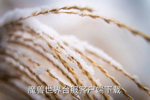 魔兽世界台服客户端下载