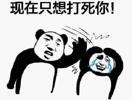 宝可梦绿宝石卡带bug_口袋妖怪 绿宝石_宝可梦记录消失存档丢失