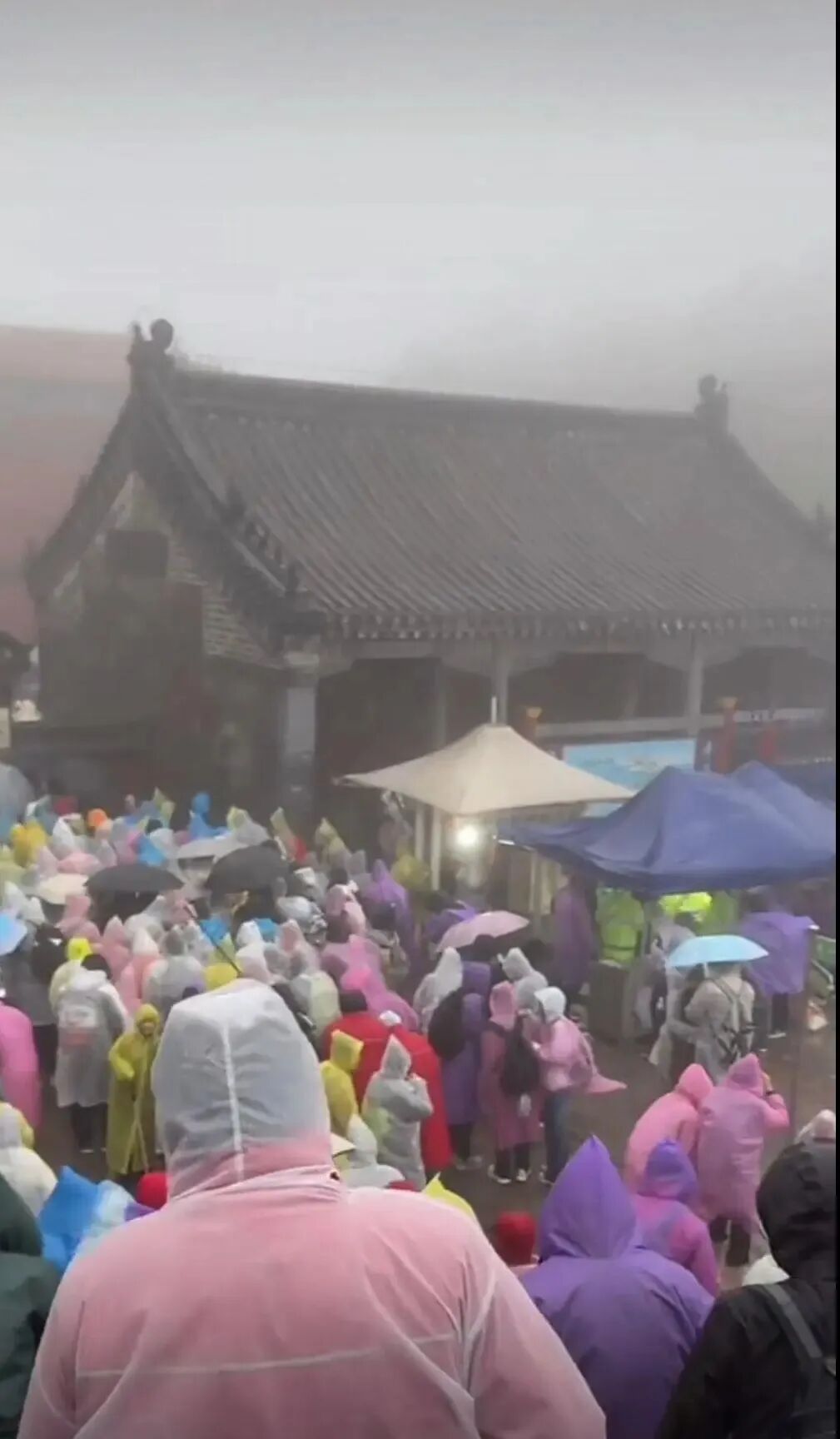 大量游客国庆登泰山遇大风降雨，厕所挤满过夜的人，山上饭店大厅过夜80-100元