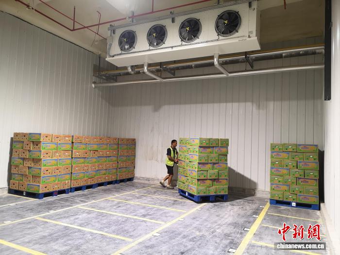冷链物流基地建设案例_老挝香蕉跨境水果仓储_怀化国际陆港智慧冷链数字化物流中心