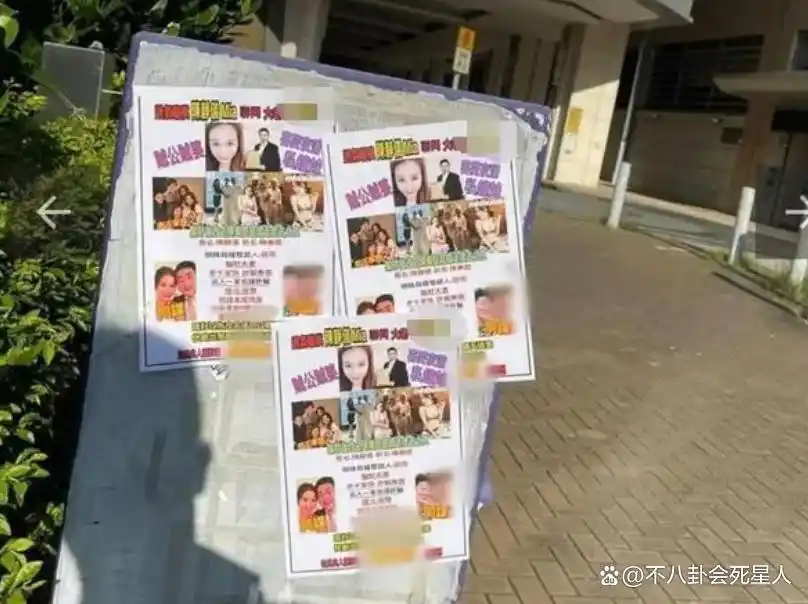 文咏珊杨颖关系_港圈嫩模现状_14岁嫩模受欢迎吗