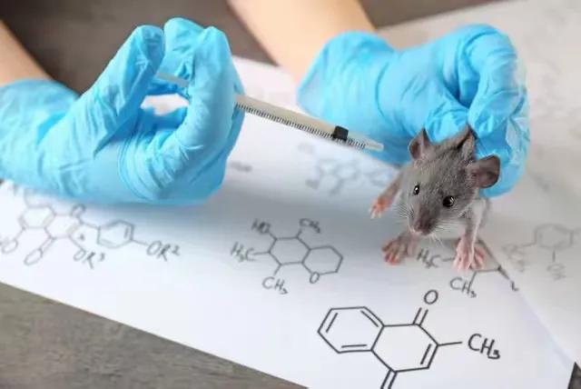 北京怀柔科学城国家重大科技基础设施综合极端条件实验装置_2025年中国科技重大事件_最近新闻大事2025