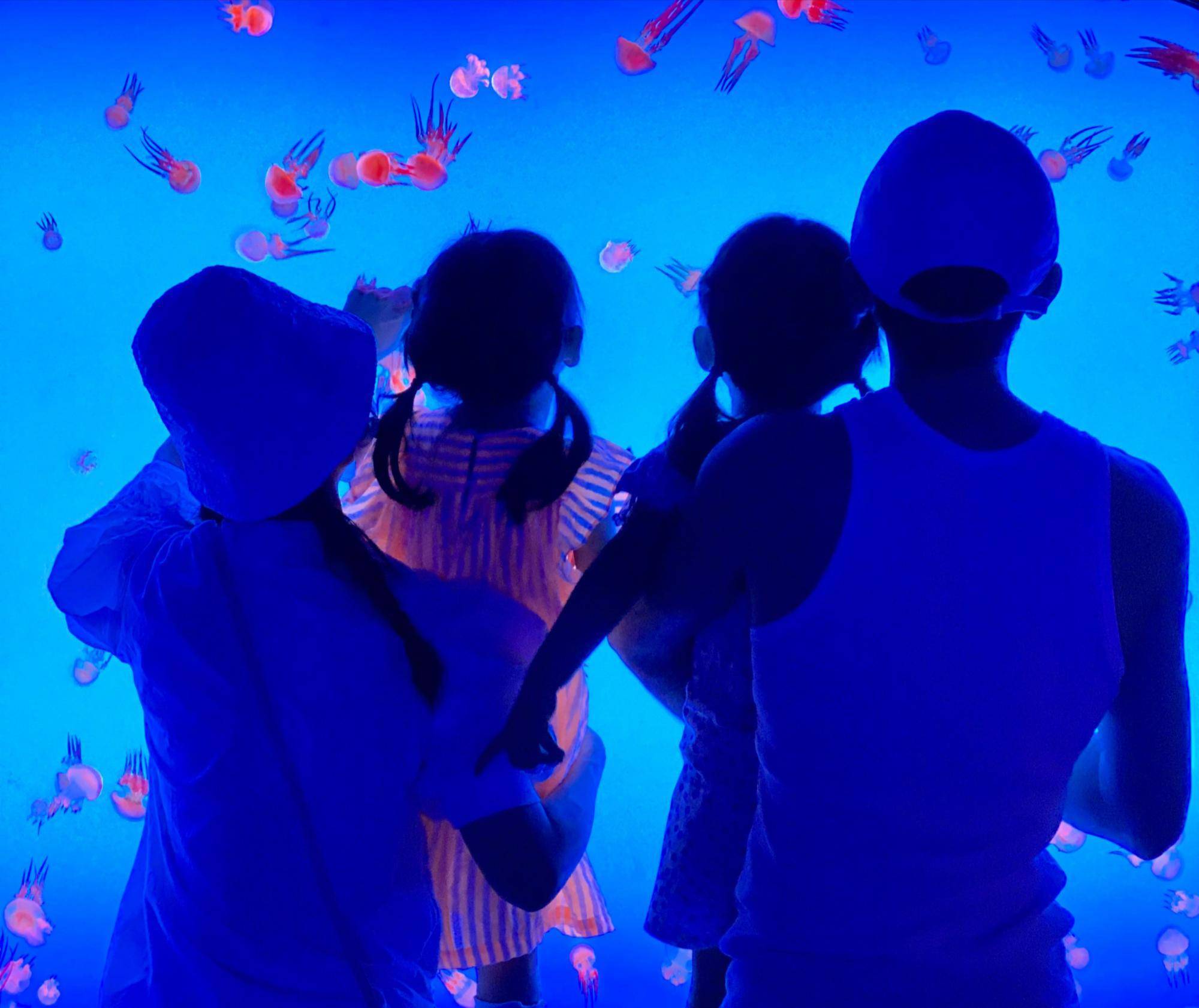 张杰13年后发展现状_王栎鑫和张杰是一届的吗_0713选秀神话人物现状