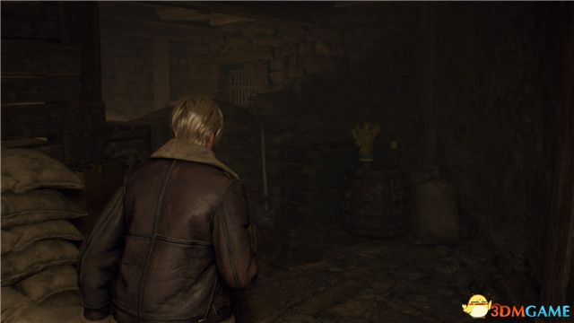 《生化危机4:重制版》图文全剧情流程攻略 全支线任务全收集攻略