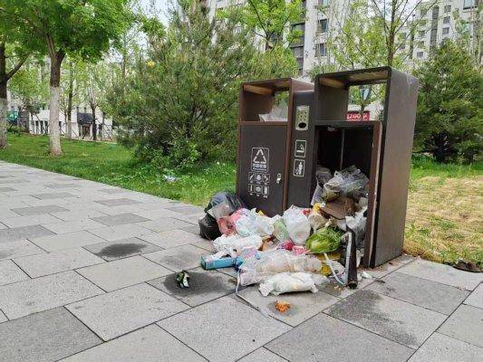 济南千亩银杏林垃圾遍地 当地回应_济南绿地中央公园卫生问题_历下区公园管理混乱