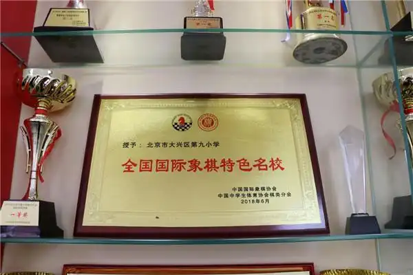国际象棋大师_北京市大兴区第九小学 国际象棋特色学校 高雅中国人