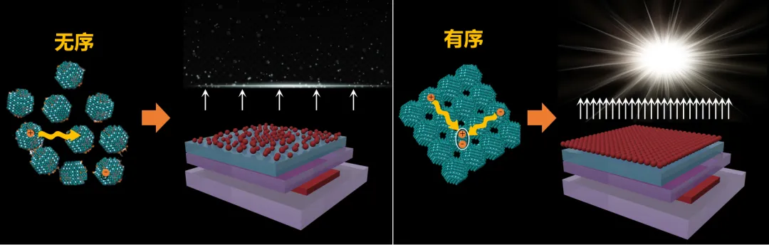 2024中国光学十大社会影响力事件_Light10评选活动_2025中国十大新闻事件