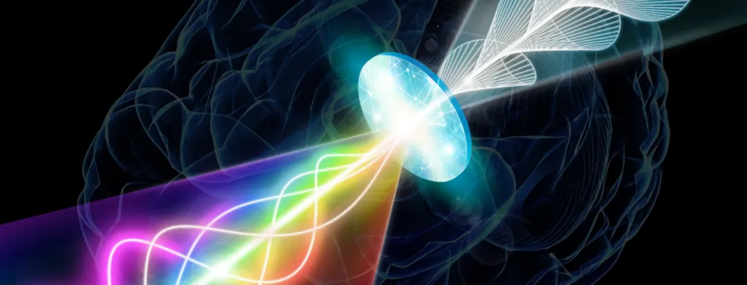 Light10评选活动_2024中国光学十大社会影响力事件_2025中国十大新闻事件