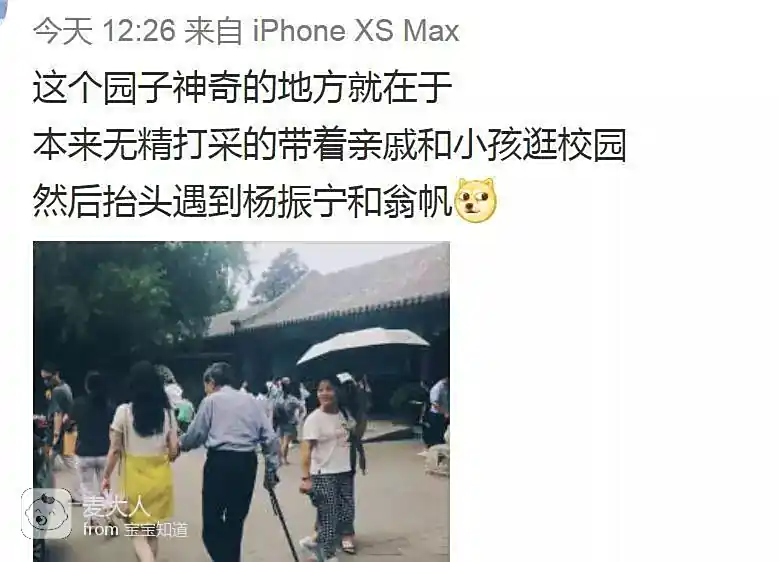 杨振宁之弟杨振平现状_杨振宁与翁帆的爱情故事_杨振宁翁帆婚姻十五年