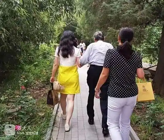 杨振宁之弟杨振平现状_杨振宁与翁帆的爱情故事_杨振宁翁帆婚姻十五年