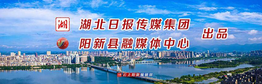 阳新抗战史_阳新革命烈士陵园_阳新为烈士画像活动
