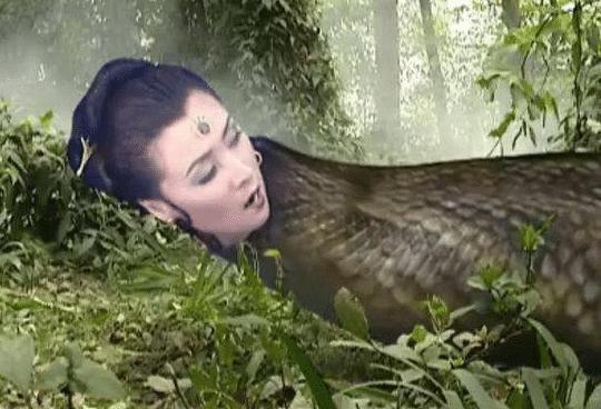 西游记经典电视剧_ps西游记_西游记幕后拍摄花絮