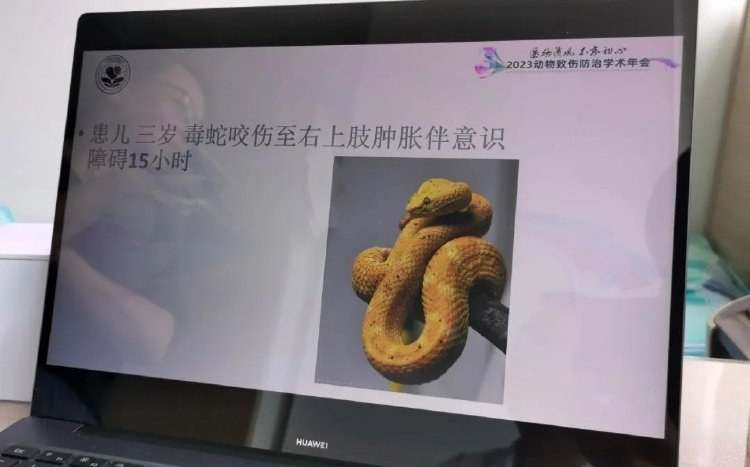致残率超三分之一，怎么办