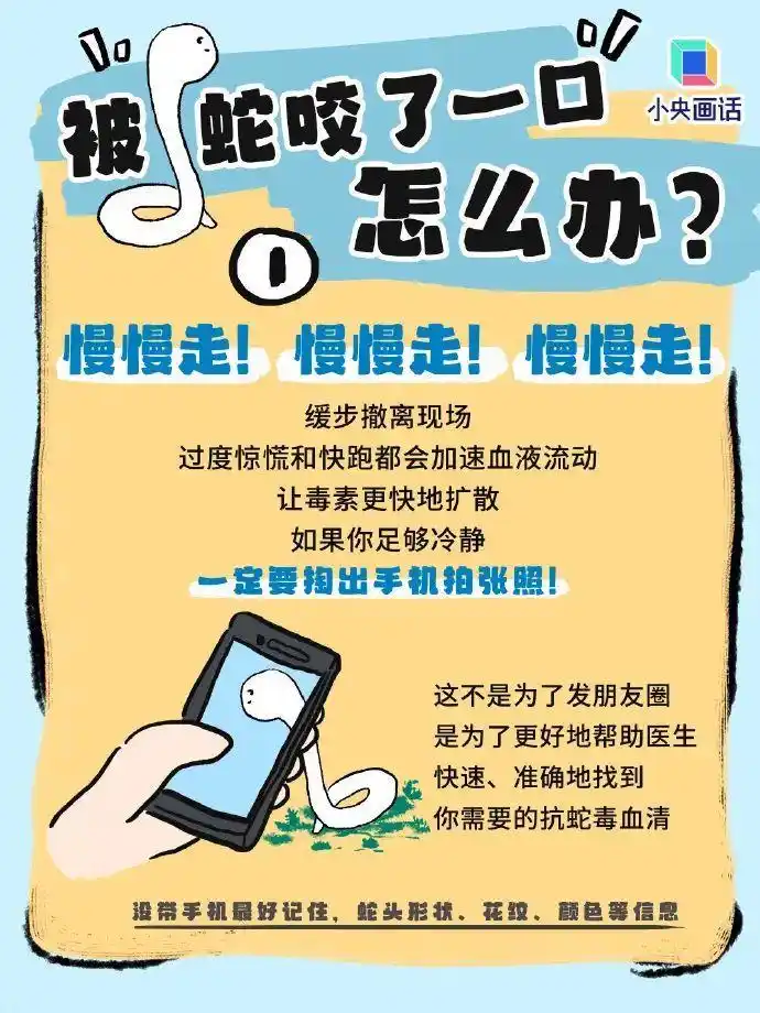 误将眼镜王蛇当无毒蛇 男子被咬身亡_眼镜王蛇咬伤症状_南宁毒蛇咬伤急救