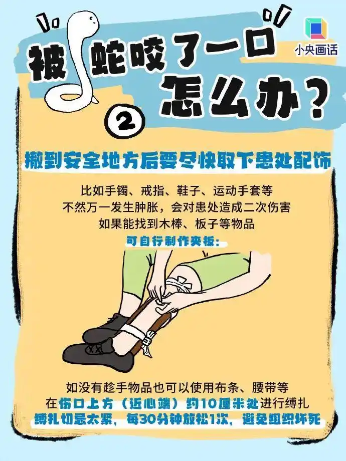 南宁毒蛇咬伤急救_眼镜王蛇咬伤症状_误将眼镜王蛇当无毒蛇 男子被咬身亡