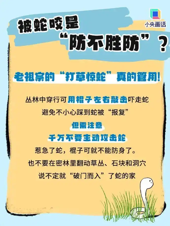 南宁毒蛇咬伤急救_眼镜王蛇咬伤症状_误将眼镜王蛇当无毒蛇 男子被咬身亡