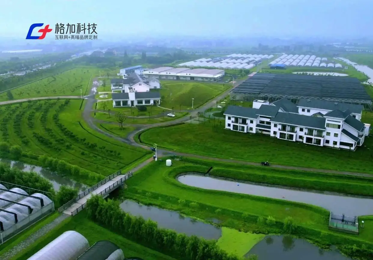 高端网站建设全程跟踪服务商_心雨在线高端网站建设网页设计_全周期数字化服务倡导者