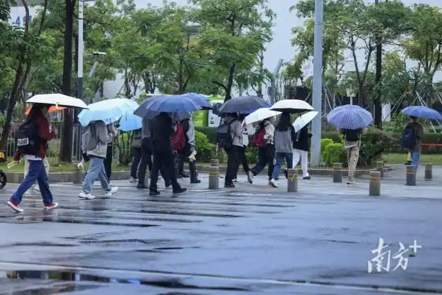 海水倒灌发生原因分析_广东沿海海水倒灌影响范围_广东多地现海水倒灌