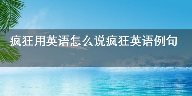 疯狂用英语怎么说_疯狂_疯狂英语例句