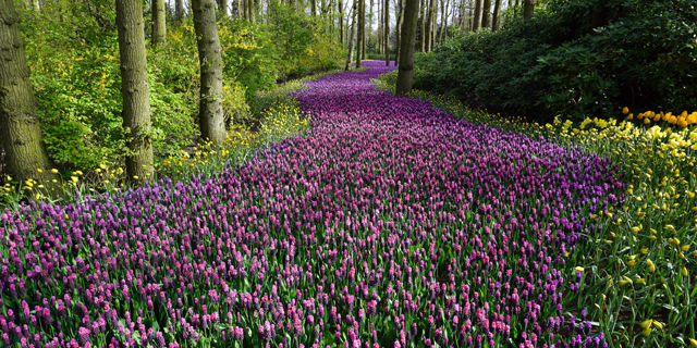 魔兽世界修复工具(魔兽世界修复工具在哪个文件夹)插图2