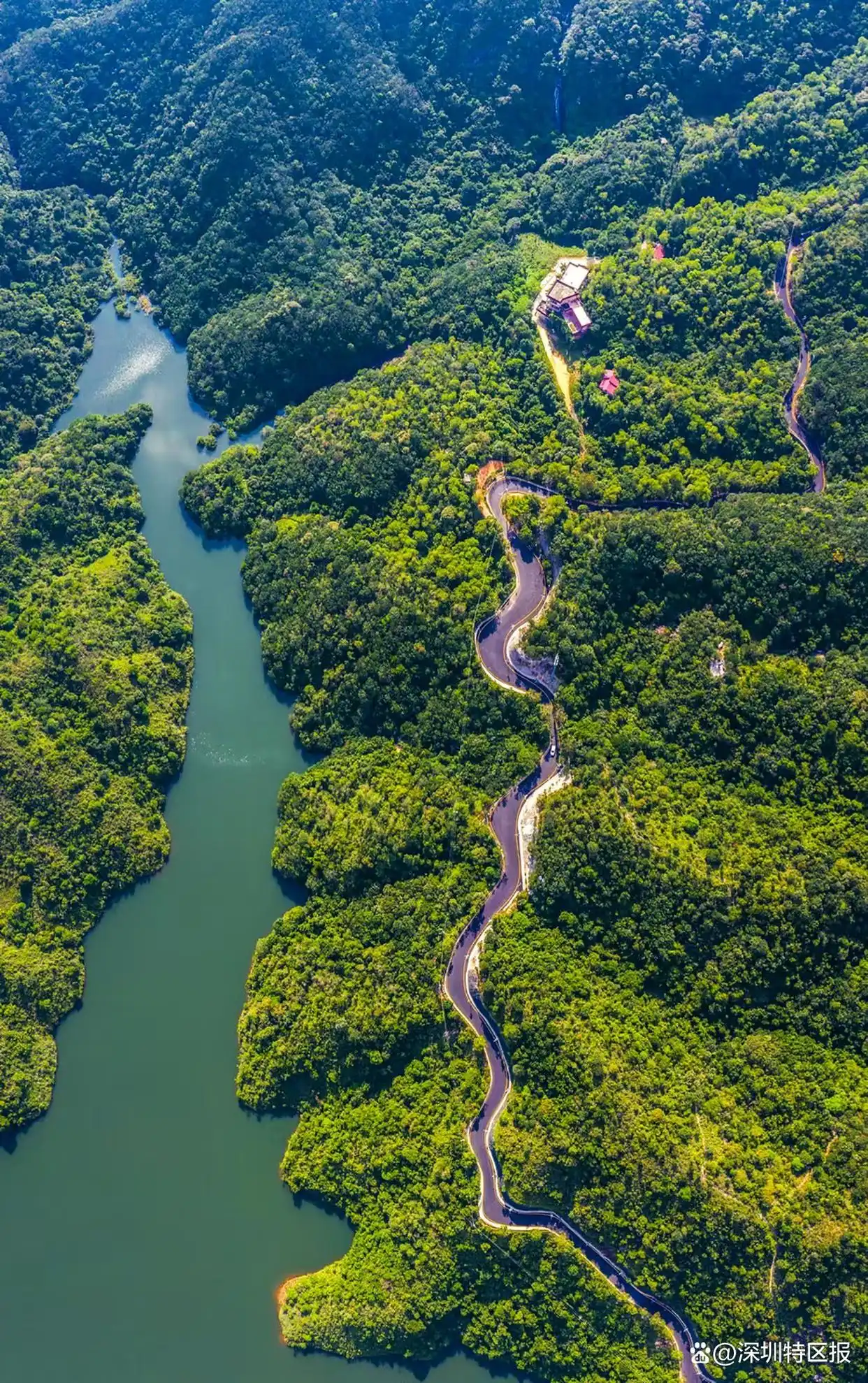 十五运坪山赛区_带你打卡十五运场馆_艺术体操比赛坪山